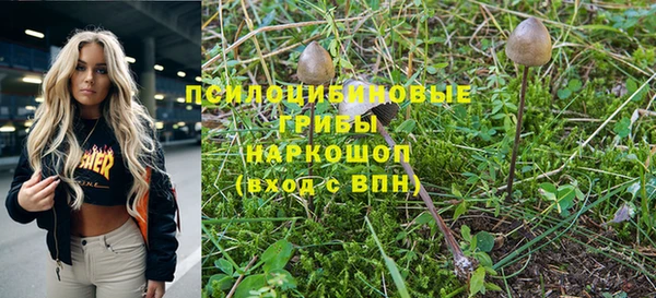 дурь Лиски