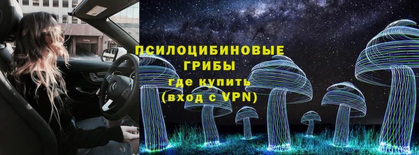 дурь Лиски