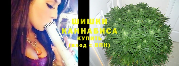 дурь Лиски