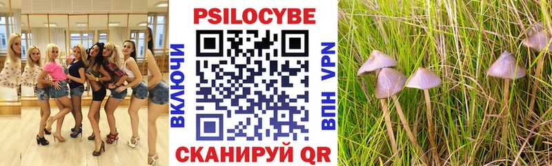 Купить где  Армавир  Псилоцибиновые грибы мицелий 